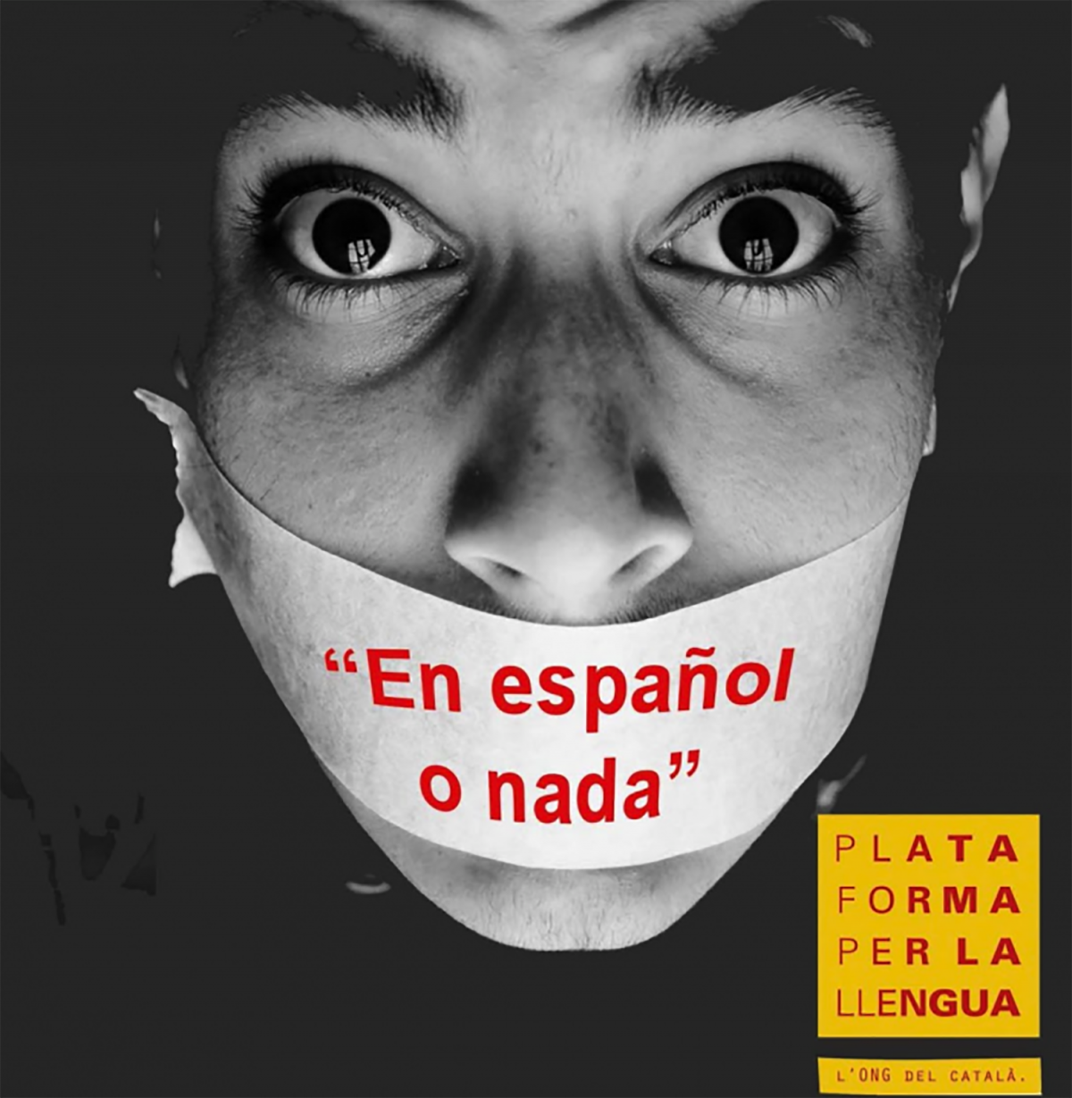 Una imatge d'arxiu d'una campanya de la Plataforma per la Llengua