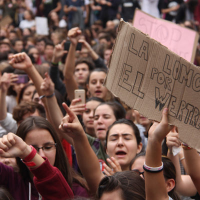 Un cartell contra l'exministre Wert en una manifestació el 2016